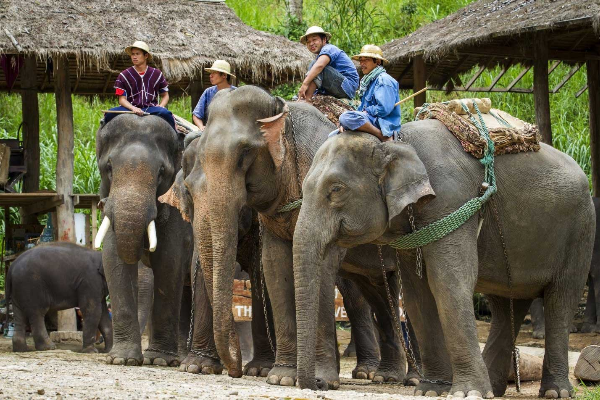10D9N Truly Northern Thailand - photo 31
